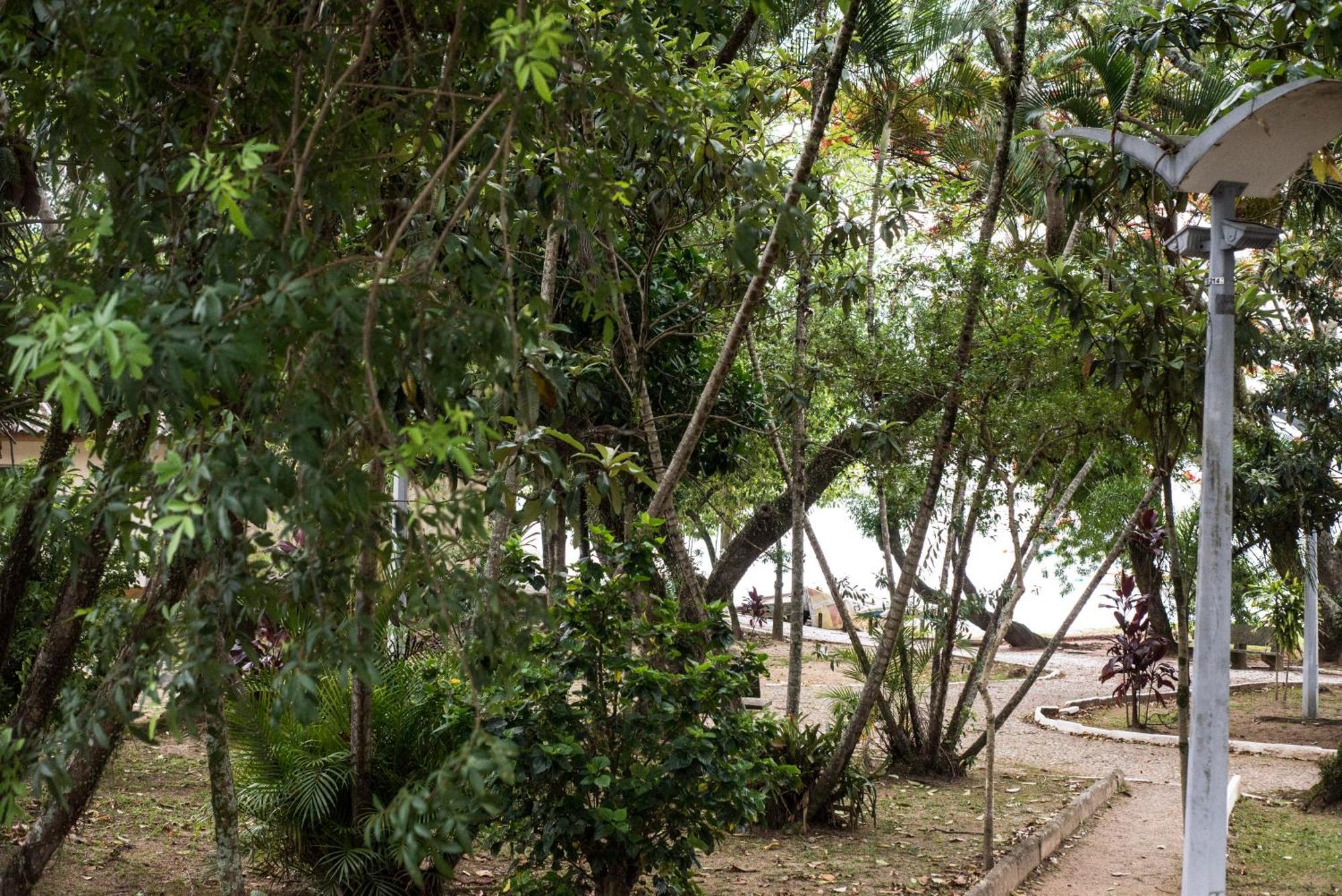 Apartmán Vista Mar Na Via Gastronomica Coqueiros Coq2 Florianópolis Exteriér fotografie
